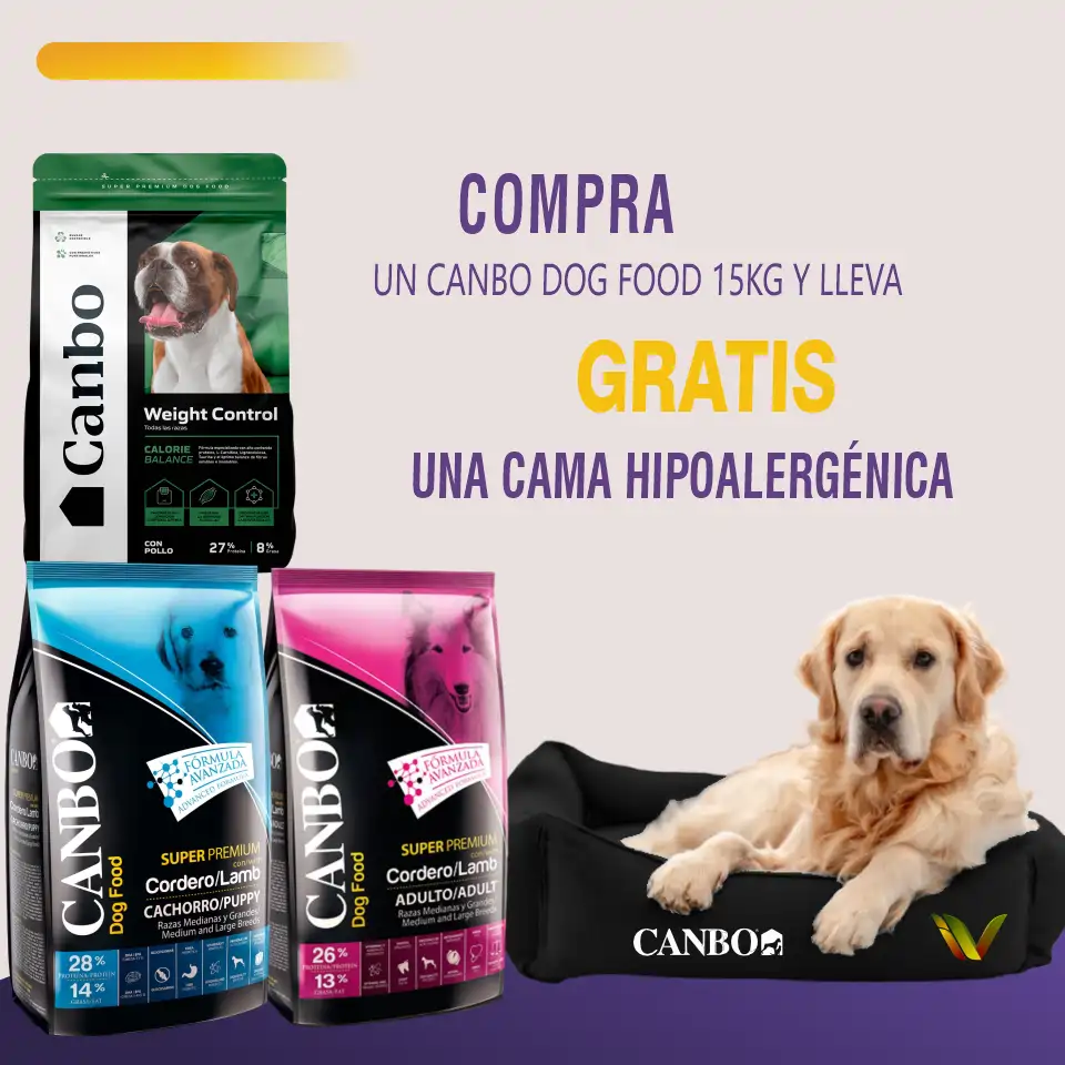 Canbo cordero canbo cordeero