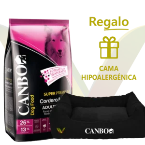 Canbo Adulto Cordero