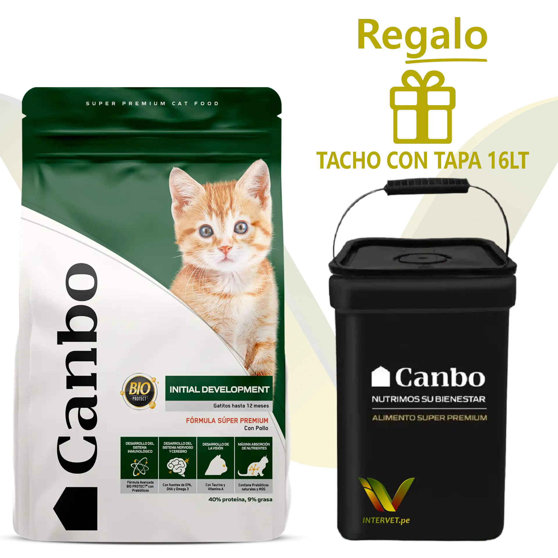 Canbo gatito