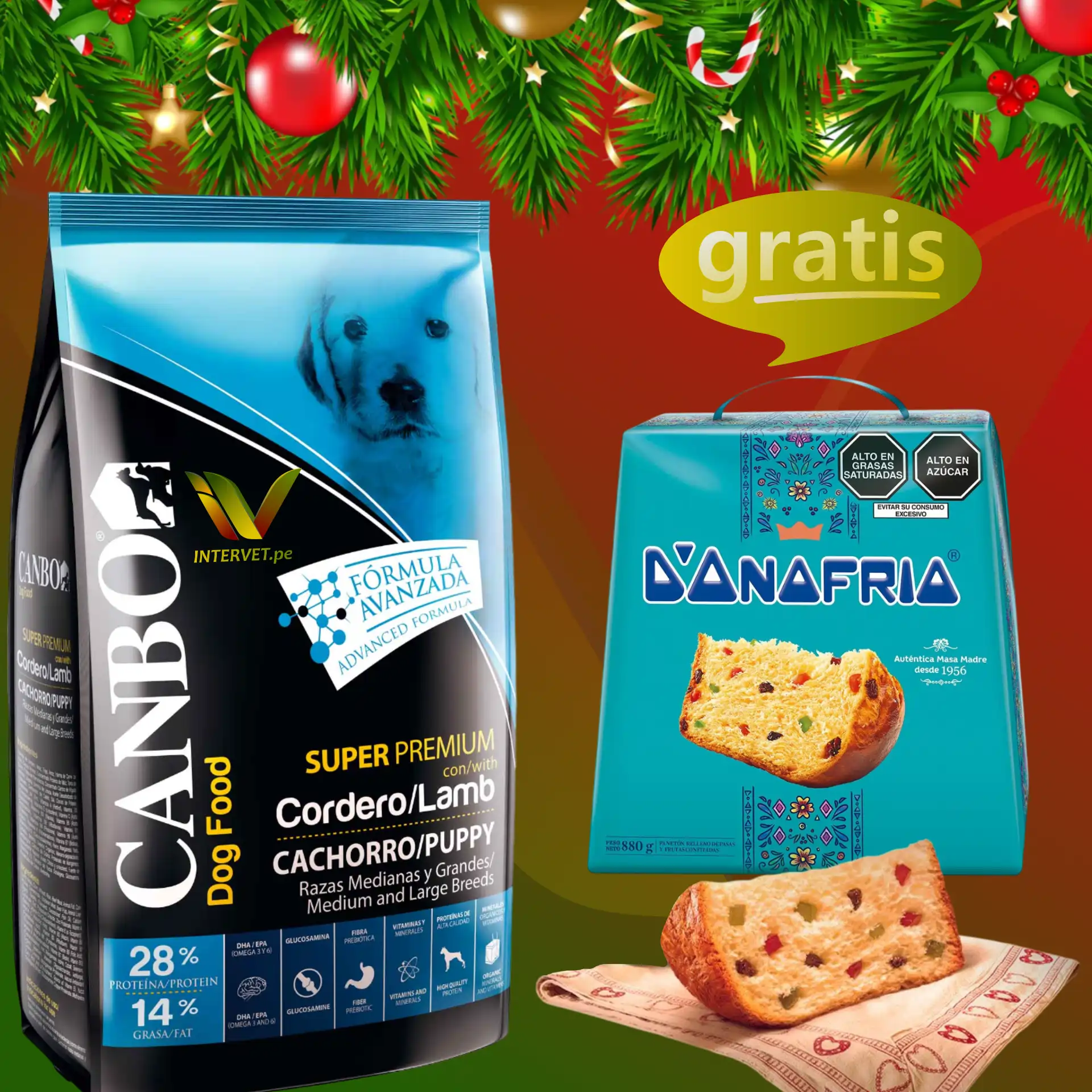 Canbo cachorro cordero