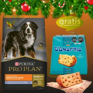 Proplan adulto cordero