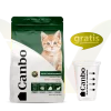 Canbo Cat Food Gatito Initial Development