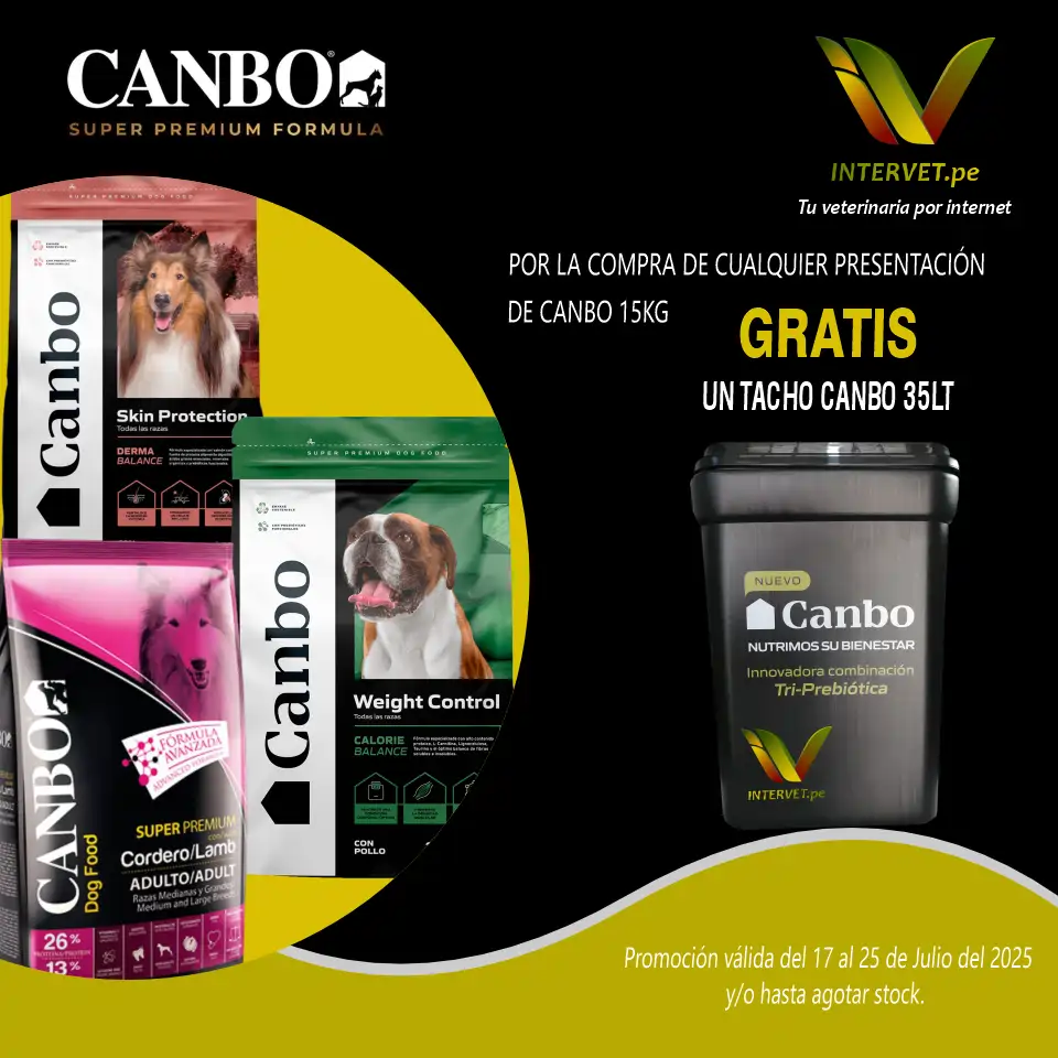 canbo cordeero