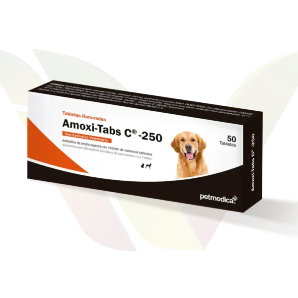 Amoxitabs