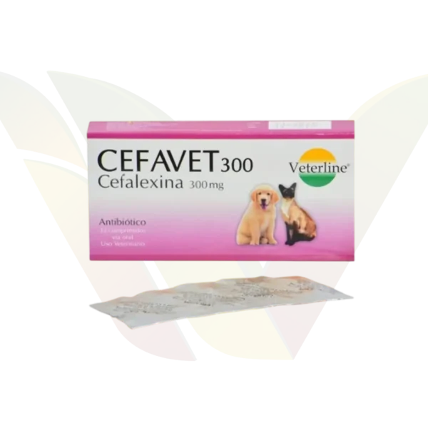 Cefavet 300mg