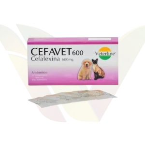 Cefavet 600mg