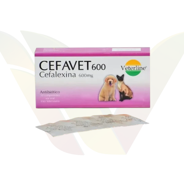 Cefavet 600mg