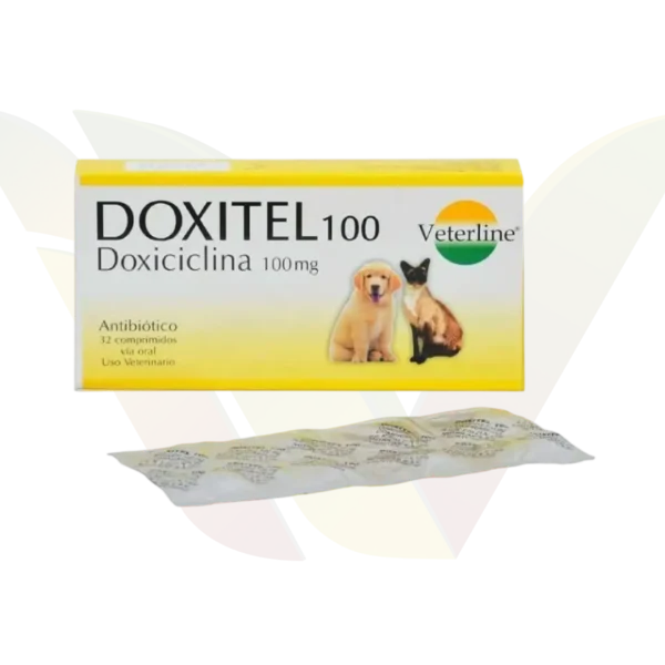 Doxitel 100mg